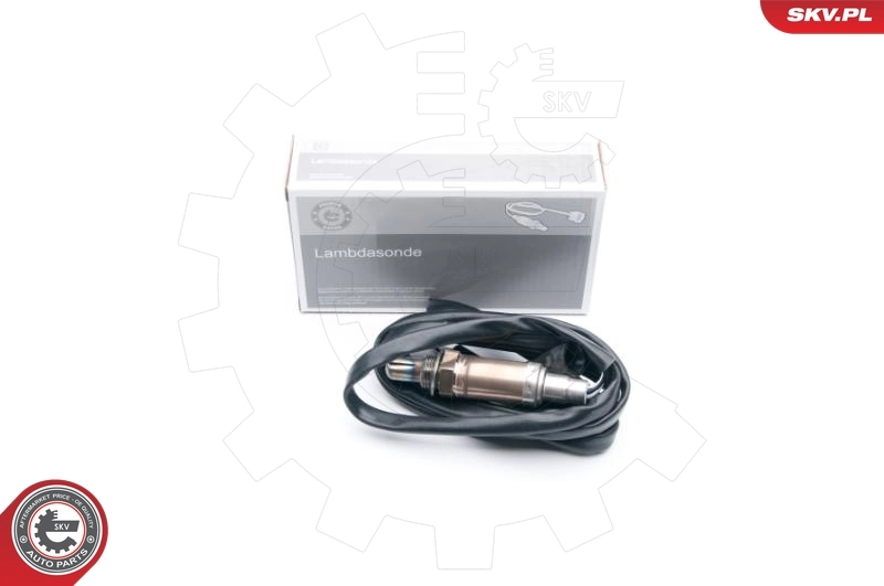 Oxygen Sensor